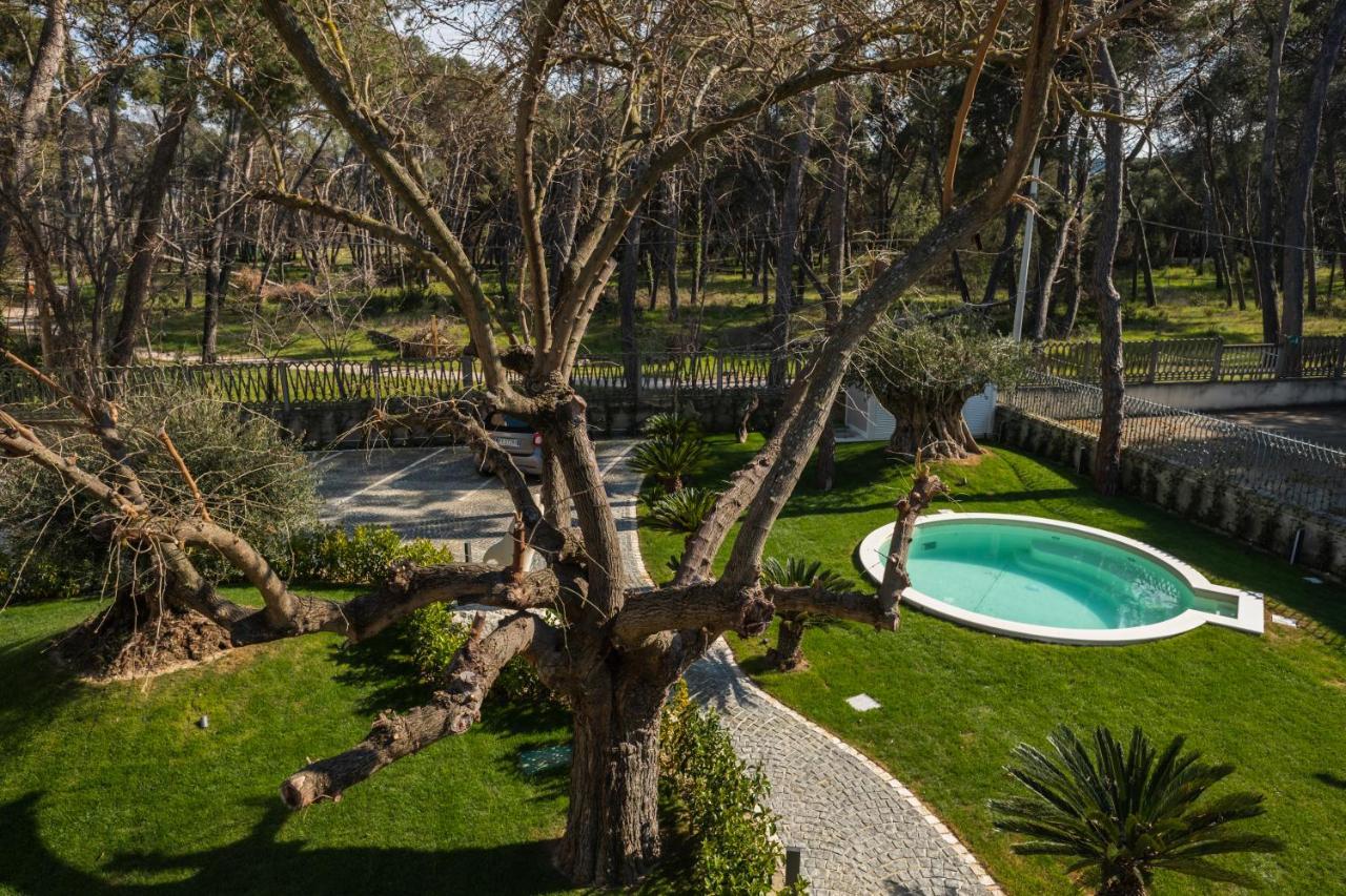 بيسكارا Luxury B&B La Riserva Dannunziana المظهر الخارجي الصورة